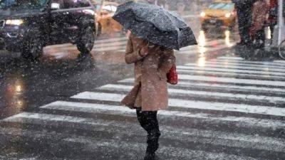 Снегопады в Киеве будут или нет на Рождество и Новый год - прогноз до 5 января 2024