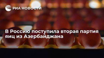 Россельхознадзор сообщил о поступлении 18 тонн яиц из Азербайджана в Россию