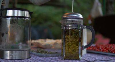 По такому принципу готовят отшельники и аскеты: как правильно заваривать листовой чай в заварнике