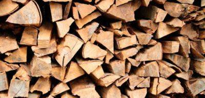 Школы Мургаба своевременно обеспечили дровами в этом году