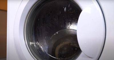 И белье снова будет радовать свежестью: как правильно почистить грязный лоток и барабан стиральной машинки
