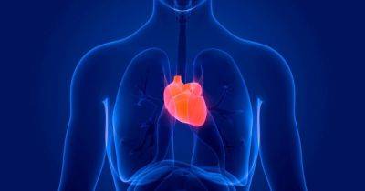 Здоровое сердце: 10 самых полезных продуктов