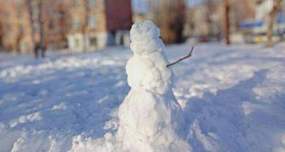 Новый год со снегом и морозом? Синоптики дали свежий прогноз - cxid.info - Украина