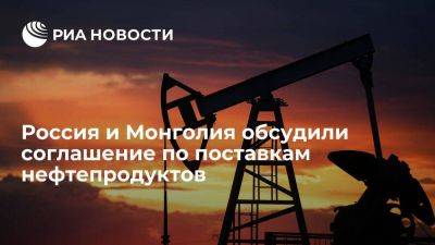 Новак обсудил с министром энергетики Монголии соглашение по поставкам нефти