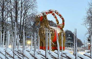 Знаменитый соломенный козел в Швеции дожил до Рождества вопреки традиции сжигания