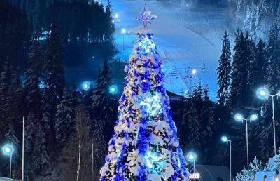 На Буковеле поставили новогоднюю елку - фото