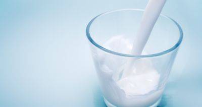 Экспорт молока и молокопродуктов за январь-ноябрь увеличился на 6,7 %