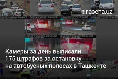 Камеры за день выписали 175 штрафов за остановку на автобусных полосах в Ташкенте