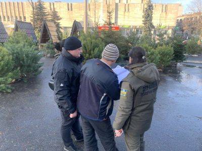 Проверки елочных базаров на Харьковщине: экоинспекторы нашли нарушения (фото)