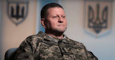 Валерий Залужный - "Годен или негоден": Залужный сделал заявление про призыв лиц с инвалидностью (видео) - focus.ua - Украина
