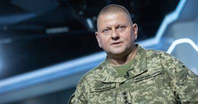 Не делали запрос на 500 тысяч: Залужный выступил с заявлением о мобилизации в Украине (видео)