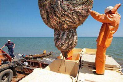 Глава комитета СФ Двойных допустил снятие ограничений на поставку рыбы из Японии