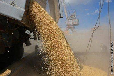 Михаил Мишустин - Правительство утвердило квоту на экспорт зерна в 24 млн т в 2024 году - smartmoney.one - Москва - Россия