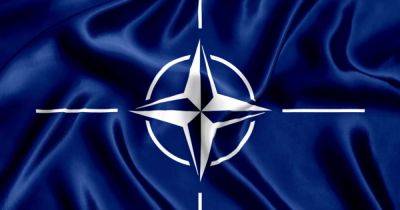 Еще один шаг: в парламенте Турции одобрили вступление Швеции в НАТО