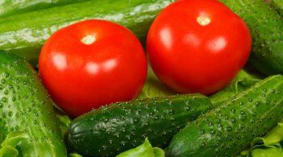 Позаботьтесь о своей пищевой безопасности: что нужно сделать с тепличными огурцами и помидорами перед потреблением