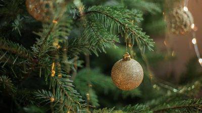 Новогодняя елка выдаст все секреты: как по праздничному деревцу определить характер и переживания ее хозяина
