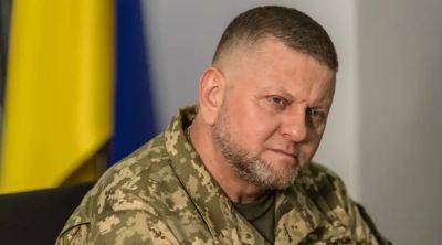 Командование запроса на какие-то цифры не делало: Залужный о мобилизации 500 000 украинцев