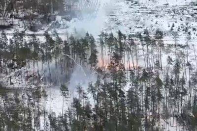 Захватчики уничтожили более 26 тысяч гектаров леса на Луганщине, - ЛОВА