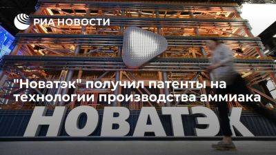 "Новатэк" получил патенты на крупнотоннажные технологии производства аммиака - smartmoney.one - Россия