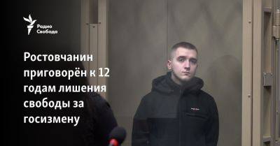 Ростовчанин приговорён к 12 годам лишения свободы за госизмену