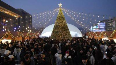 Экоактивисты призывают не выбрасывать рождественские елки с другим мусором - ru.euronews.com - Румыния - г. Бухарест
