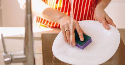 Как часто нужно менять кухонные губки: советы от эксперта по домоводству