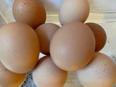 За прошедшую неделю куриные яйца подорожали на 4% - smartmoney.one - Россия