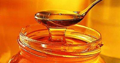 Возвращаем засахаренному меду жидкую консистенцию: у вас получится с первого раза