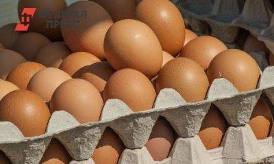 Вице-премьер Абрамченко оценила возможность дефицита яиц