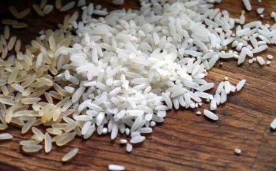 Мировые цены на рис выросли до максимума за 15 лет
