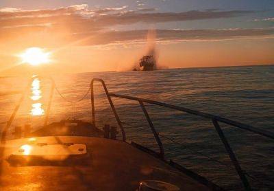 В Черном море подорвалось гражданское судно под флагом Панамы, есть раненые - подробности