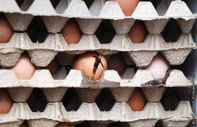 Основной производитель куриных яиц в Липецкой области ограничил отпускные цены