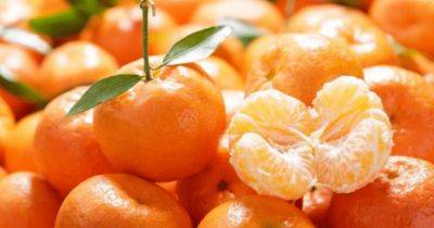 Как выбрать вкусные мандарины: на что обращать внимание - focus.ua - Украина