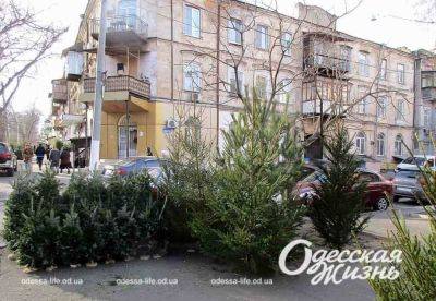 Какой прогноз погоды в Одессе на 29 декабря | Новости Одессы