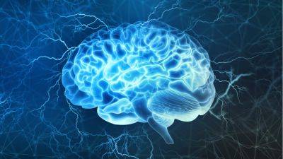 Голова будет "свежей" всегда: 5 способов улучшить работу мозга