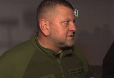 Валерий Залужный сделал заявление о новых трагических последствиях для Украины: "К сожалению..."