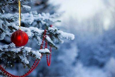 Странная погода под Новый год: синоптики рассказали, к чему готовиться на праздники