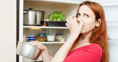 Как избавиться от неприятного запаха в холодильнике: эффективные способы