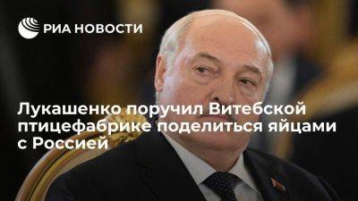 Лукашенко посетил магазин птицефабрики и поручил поделиться яйцами с Россией