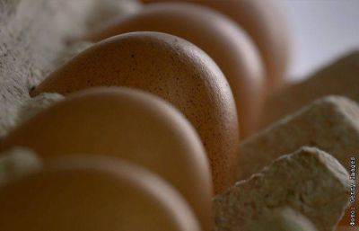 Кабмин РФ принял решение о беспошлинном импорте яиц в Россию до 30 июня 2024 г.