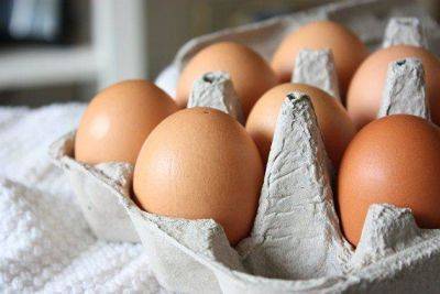 Правительство отменило ввозную таможенную пошлину для яиц до 30 июня