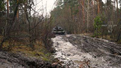"Непроходимое месиво": Украинские военные показали, как выглядят сейчас Кременские леса