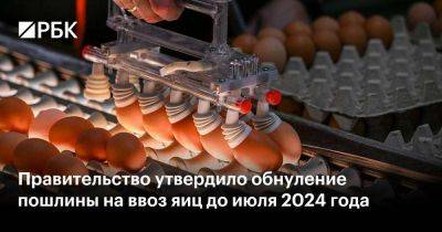 Правительство утвердило обнуление пошлины на ввоз яиц до июля 2024 года
