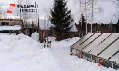 Адвокат Колотович рассказала, чем грозит кража снега у соседа по даче