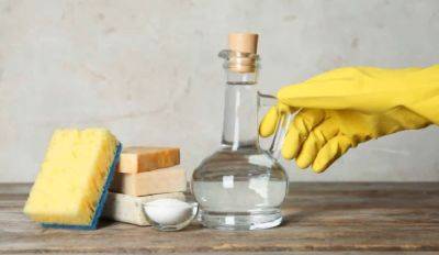 Эффективно и безопасно: как использовать уксус во время уборки