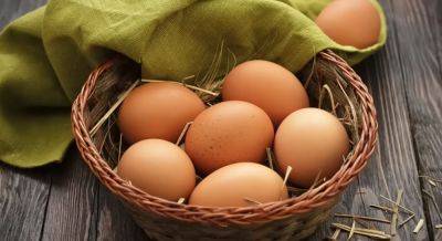 Будут свежими два месяца: как нужно хранить куриные яйца. Секретный лайфхак - hyser.com.ua - Украина