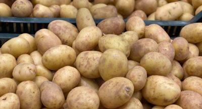 Многие этого не ожидали: цены на картофель снова бьют рекорды. К чему готовиться дальше