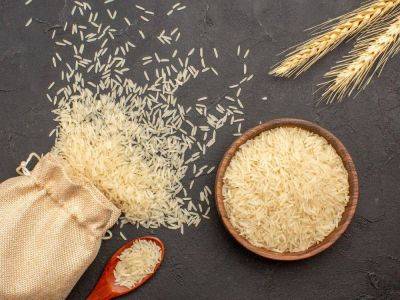 Власти России запретили вывозить рис из страны до лета следующего года