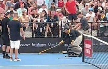 Тим Доминик - В Австралии во время теннисного турнира змея напугала болельщиков - charter97.org - США - Украина - Австралия - Белоруссия