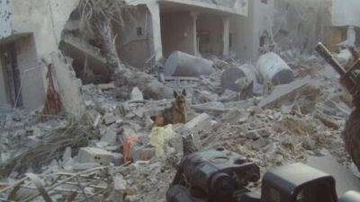 Служебные собаки ЦАХАЛа предотвратили гибель бойцов в Газе